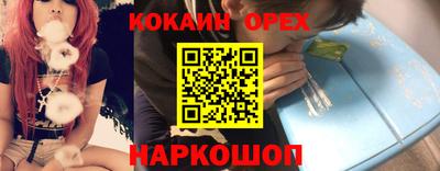 шишки Новодвинск