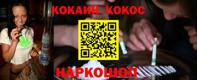 шишки Новодвинск
