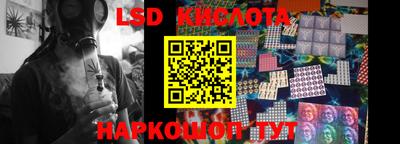 гидра Новозыбков