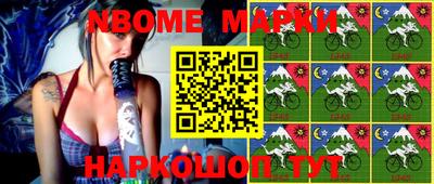 шишки Новодвинск