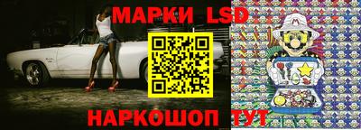 шишки Новодвинск