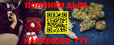 шишки Новодвинск