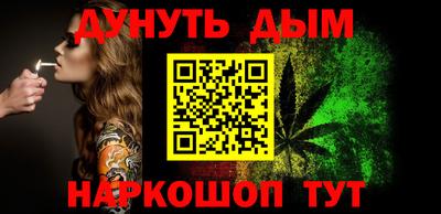 гидра Новозыбков