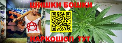 гидра Новозыбков