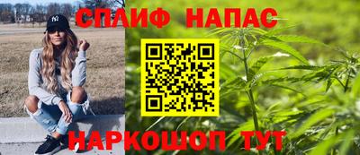 гидра Новозыбков