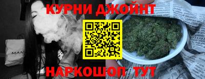 гидра Новозыбков
