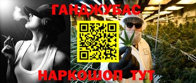 гидра Новозыбков