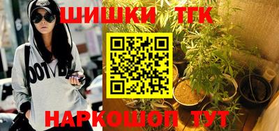 шишки Новодвинск
