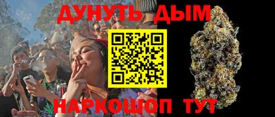 гидра Новозыбков