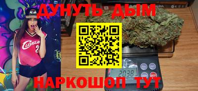 шишки Новодвинск