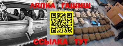 шишки Новодвинск